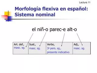 morfolog a flexiva en espa ol sistema nominal