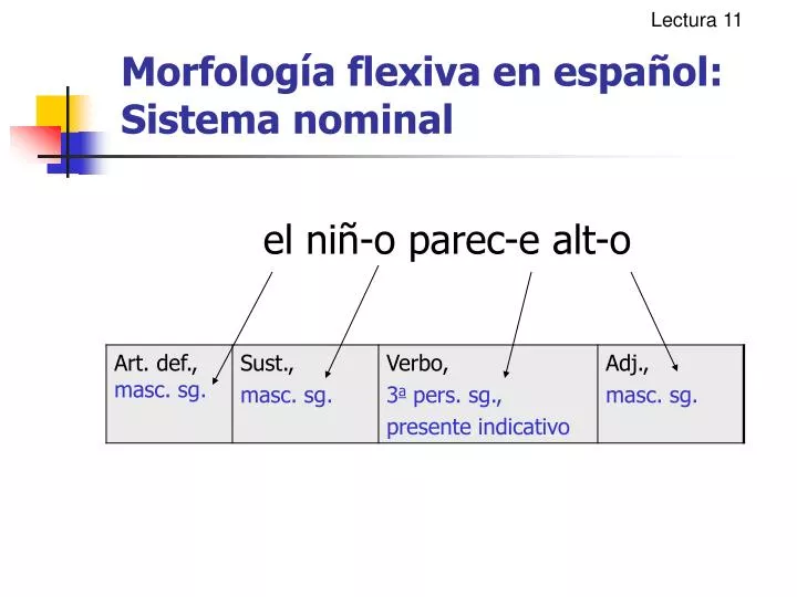 morfolog a flexiva en espa ol sistema nominal