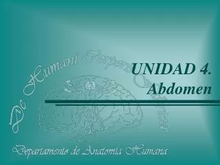 UNIDAD 4. Abdomen