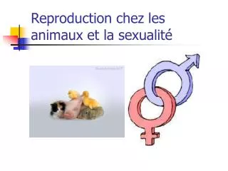 Reproduction chez les animaux et la sexualité