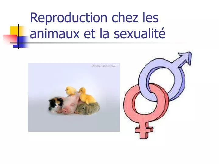 reproduction chez les animaux et la sexualit