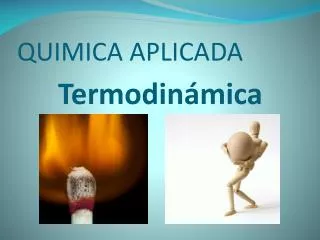 termodin mica