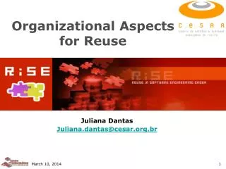 Organizational Aspects for Reuse