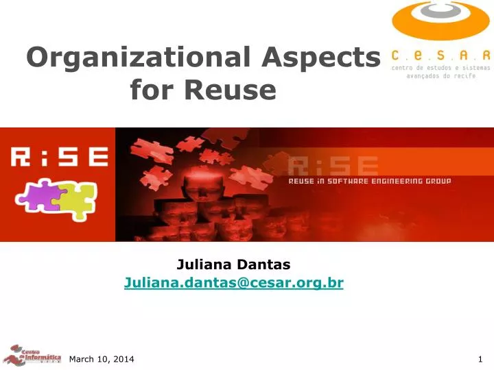 organizational aspects for reuse