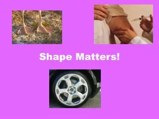 Shape Matters!