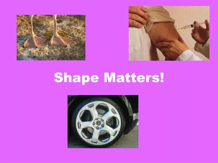 shape matters
