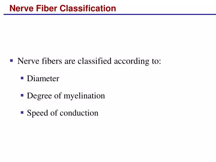 nerve fiber classification