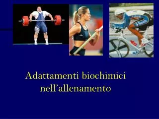 Adattamenti biochimici nell’allenamento