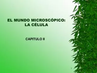 el mundo microsc pico la c lula