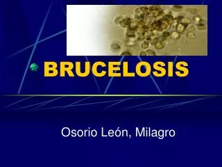 BRUCELOSIS