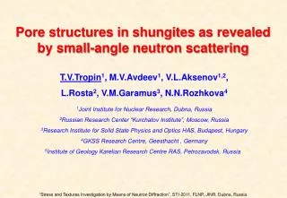 Pore structures in shungites as revealed by small-angle neutron scattering