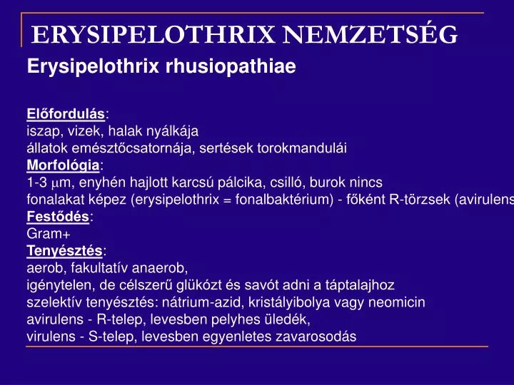 erysipelothrix nemzets g