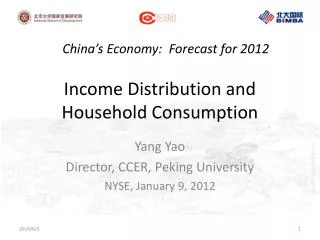 Income Distribution and Household Consumption
