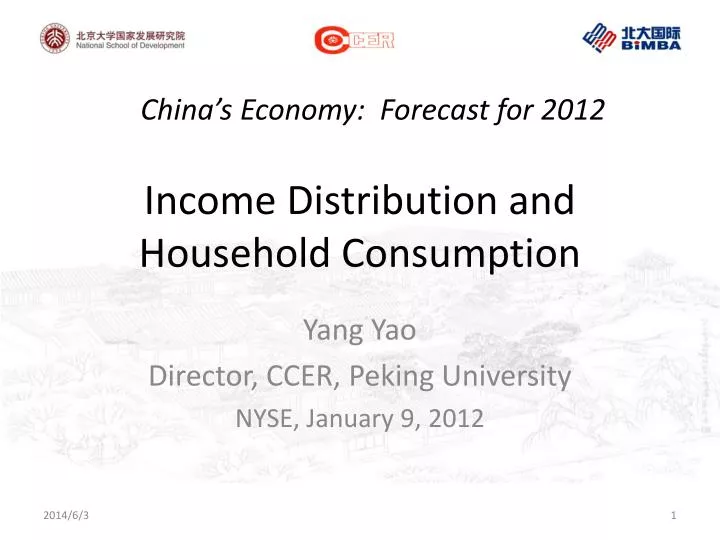 income distribution and household consumption