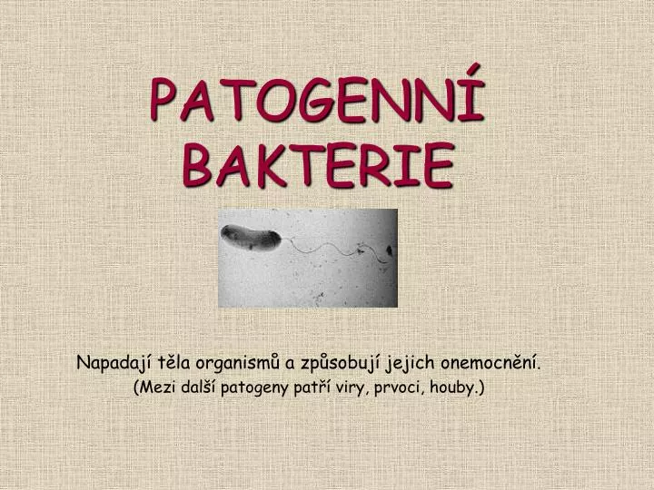 patogenn bakterie