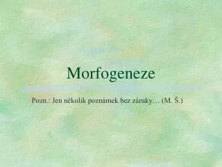 Morfogeneze