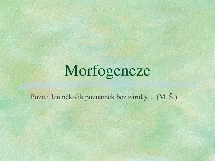 morfogeneze