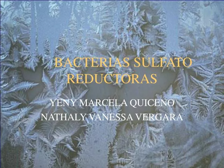 bacterias sulfato reductoras