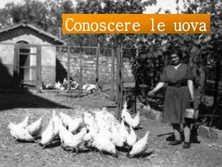 conoscere le uova