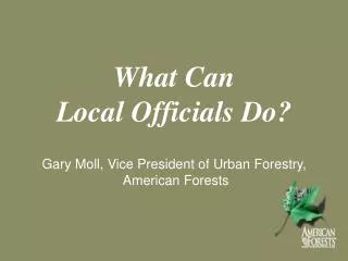 What Can Local Officials Do?