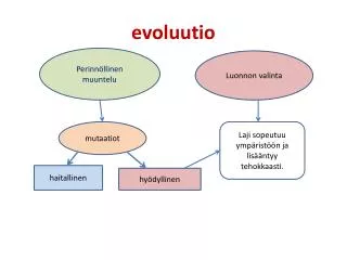 evoluutio