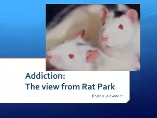 Addiction: The view from Rat Park