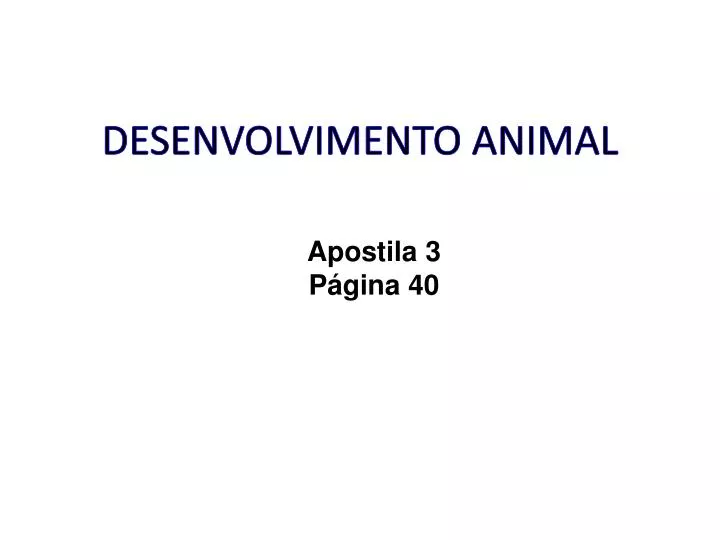 desenvolvimento animal