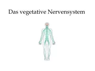 Das vegetative Nervensystem