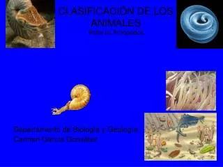 clasificaci n de los animales parte iii artr podos