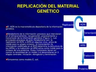 replicaci n del material gen tico