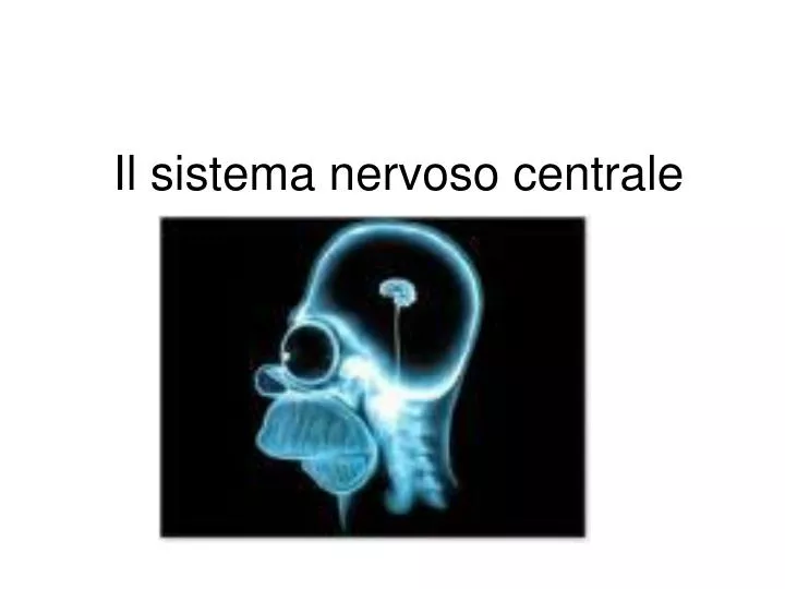 il sistema nervoso centrale