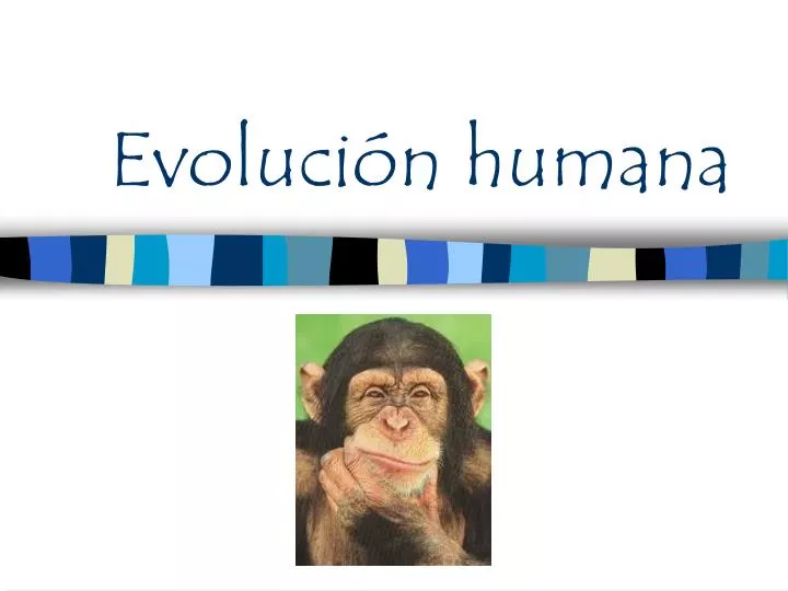 evoluci n humana