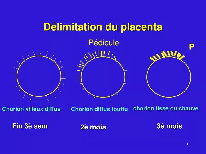 d limitation du placenta