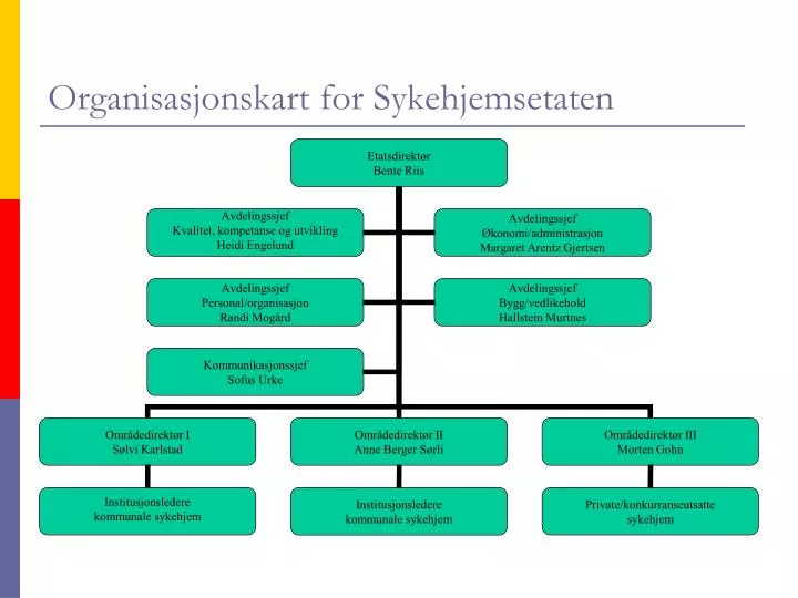 organisasjonskart for sykehjemsetaten