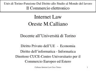 Univ.di Torino-Funzione Dal Diritto allo Studio al Mondo del lavoro Il Commercio elettronico