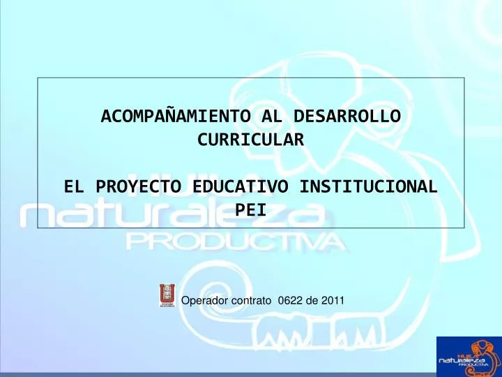 acompa amiento al desarrollo curricular el proyecto educativo institucional pei
