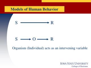 Models of Human Behavior