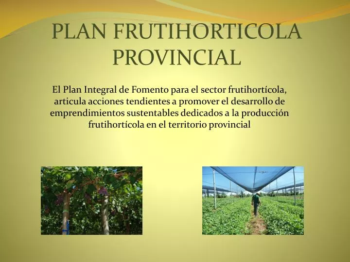 plan frutihorticola provincial