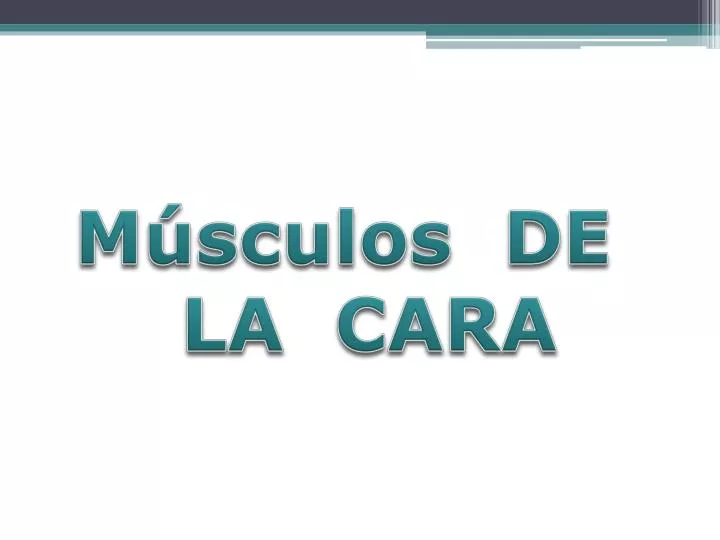 m sculos de la cara