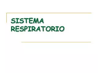 sistema respiratorio