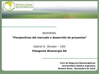BIODIESEL “Perspectivas del mercado y desarrollo de proyectos” Gabriel D. Obrador – CEO Patagonia Bioenergía SA