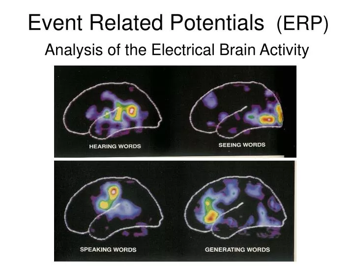 event related potentials erp