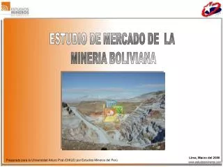 ESTUDIO DE MERCADO DE LA MINERIA BOLIVIANA