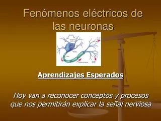 Fenómenos eléctricos de las neuronas