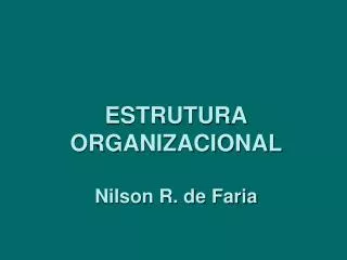 ESTRUTURA ORGANIZACIONAL Nilson R. de Faria