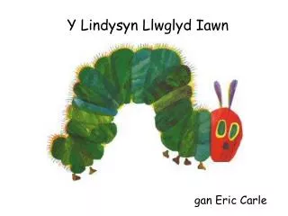Y Lindysyn Llwglyd Iawn