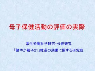 母子保健活動の評価の実際