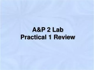 A&amp;P 2 Lab Practical 1 Review