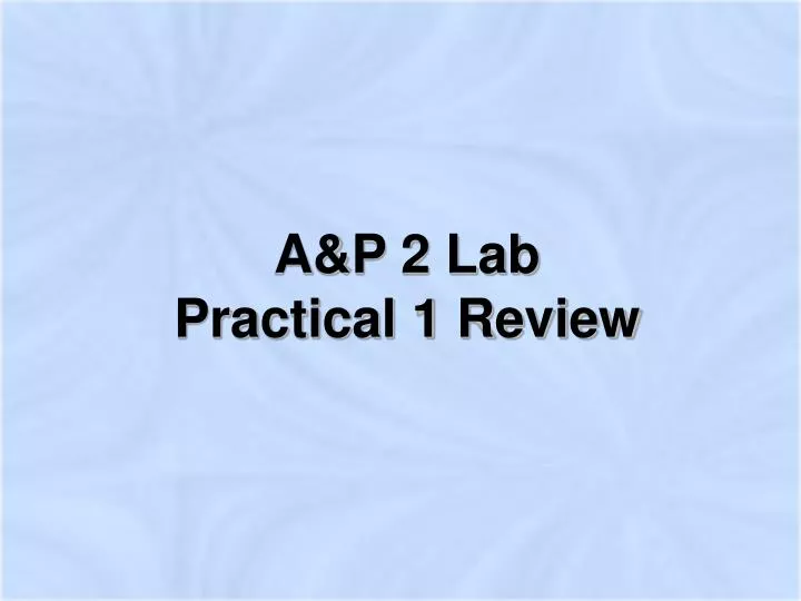 a p 2 lab practical 1 review