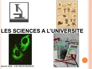 LES SCIENCES A L’UNIVERSITE